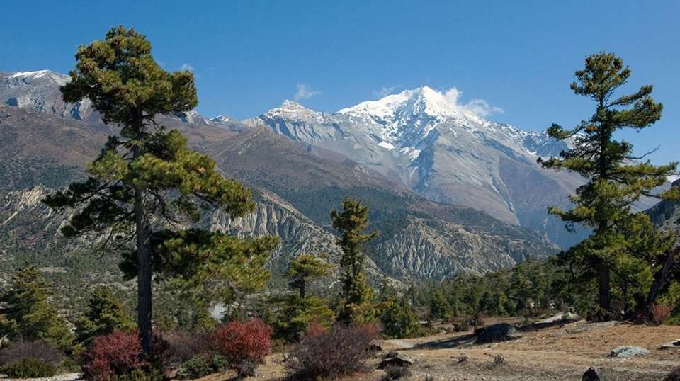 Annapurna Circuit Trek - Glorious Himalaya Trekking Pvt Ltd. - Nepal - Image 2