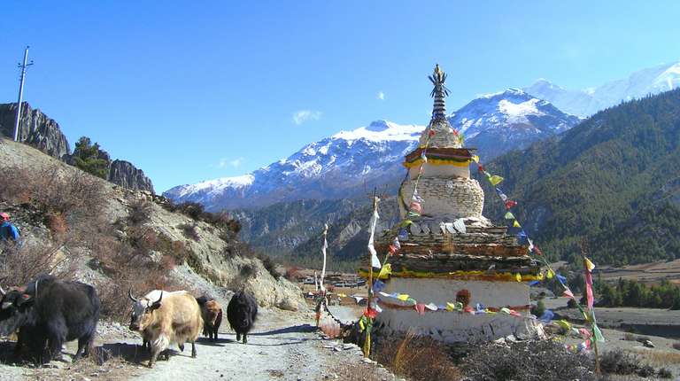 Annapurna Circuit Trek  - 14 days