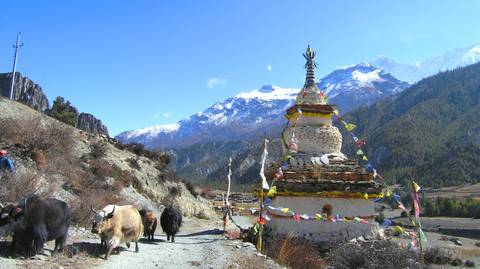 Annapurna Circuit Trek - Winter Tours