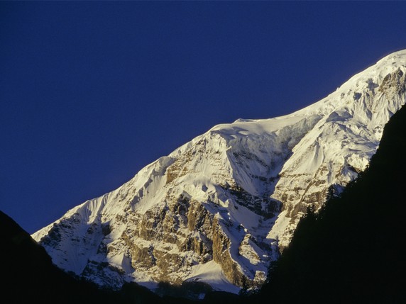 Image 2 of 8