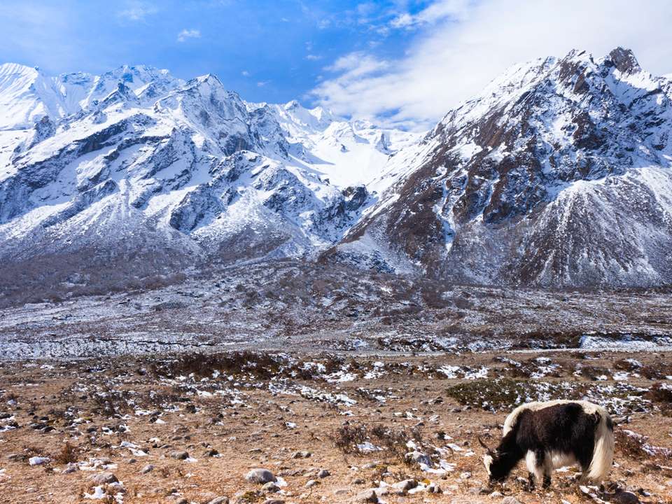 Annapurna Circuit Trek - G Adventures - Nepal - Image 5