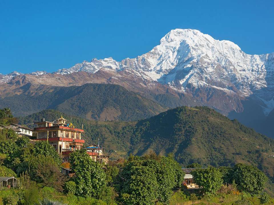 Annapurna Panorama - 12 days - On The Go Tours - Nepal - Image 7