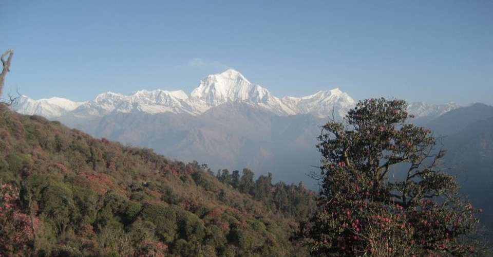 Annapurna Panorama trek - Nepal Eco Adventure Pvt Ltd - Nepal - Image 2