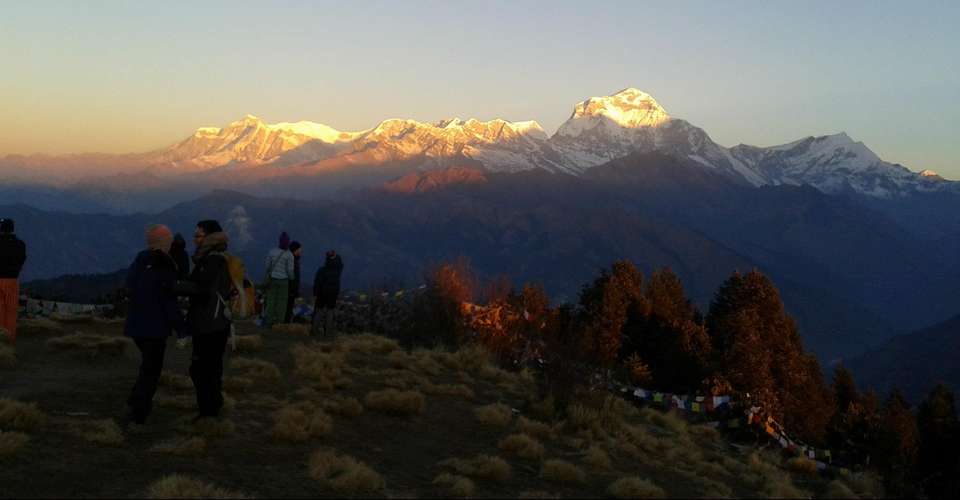 Annapurna Panorama trek - Nepal Eco Adventure Pvt Ltd - Nepal - Image 5