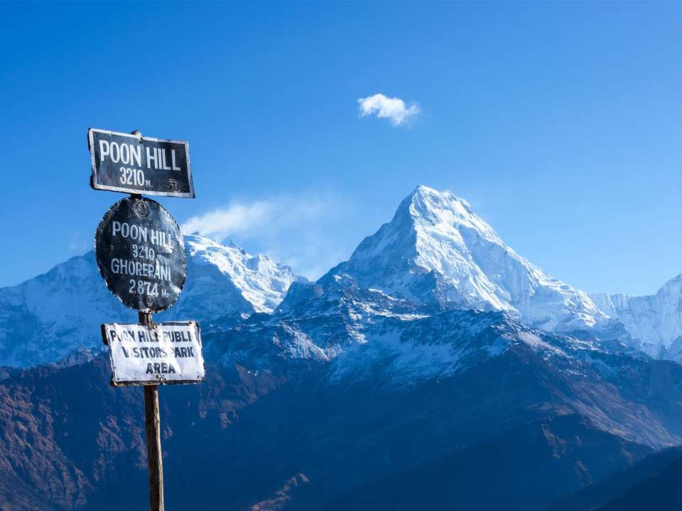 Annapurna Poon Hill Trek - 9 days - On The Go Tours - Nepal - Image 4