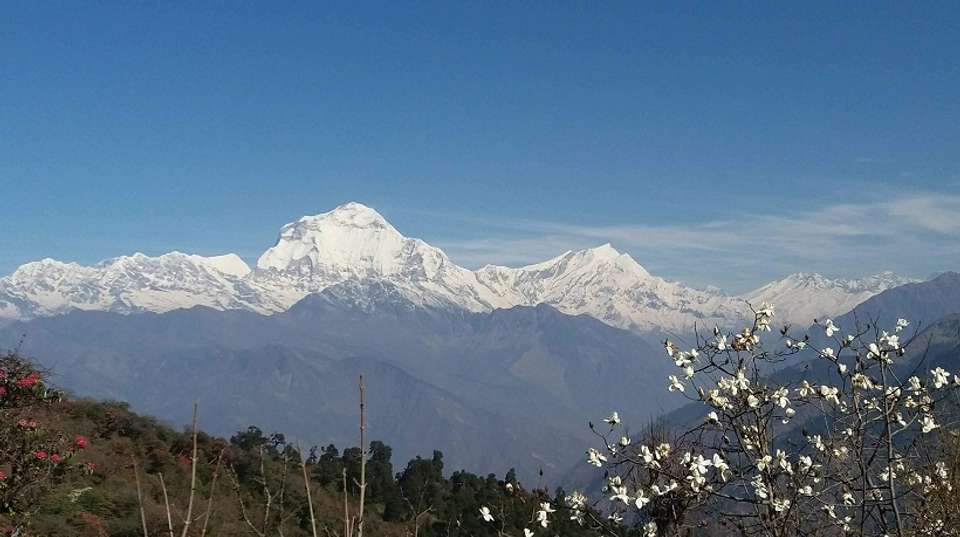 Annapurna Sanctuary Trek: 14 Days - Alpine Club Of Himalaya - Nepal - Image 2