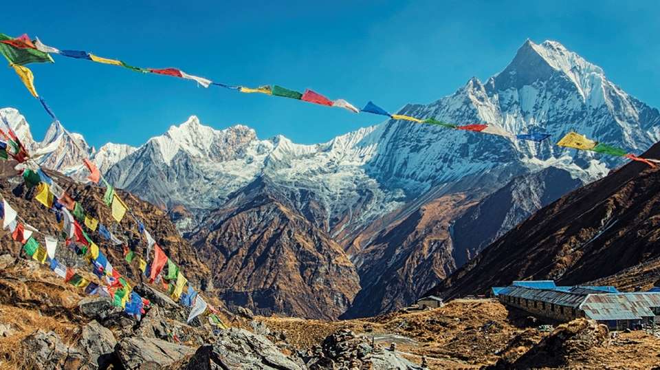 Annapurna Sanctuary Trek: 14 Days - Alpine Club Of Himalaya - Nepal - Image 3