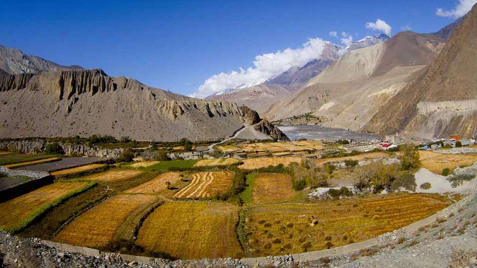 Annapurna Circuit Trek via Tilicho Lake - undefined - Image 7