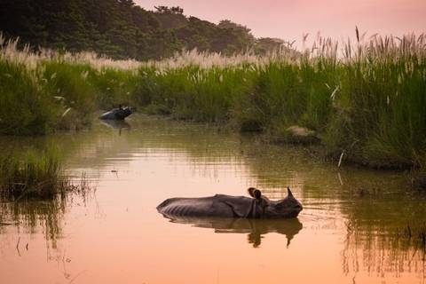 Pokhara Trekking And Hiking Tour: Annapurna To Chitwan: Walks & Wildlife