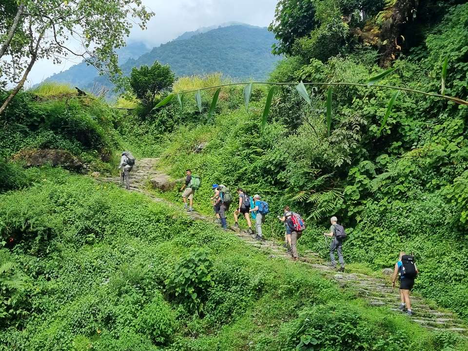 Annapurna to Chitwan: Walks & Wildlife - Exodus Adventure Travels - Nepal - Image 13