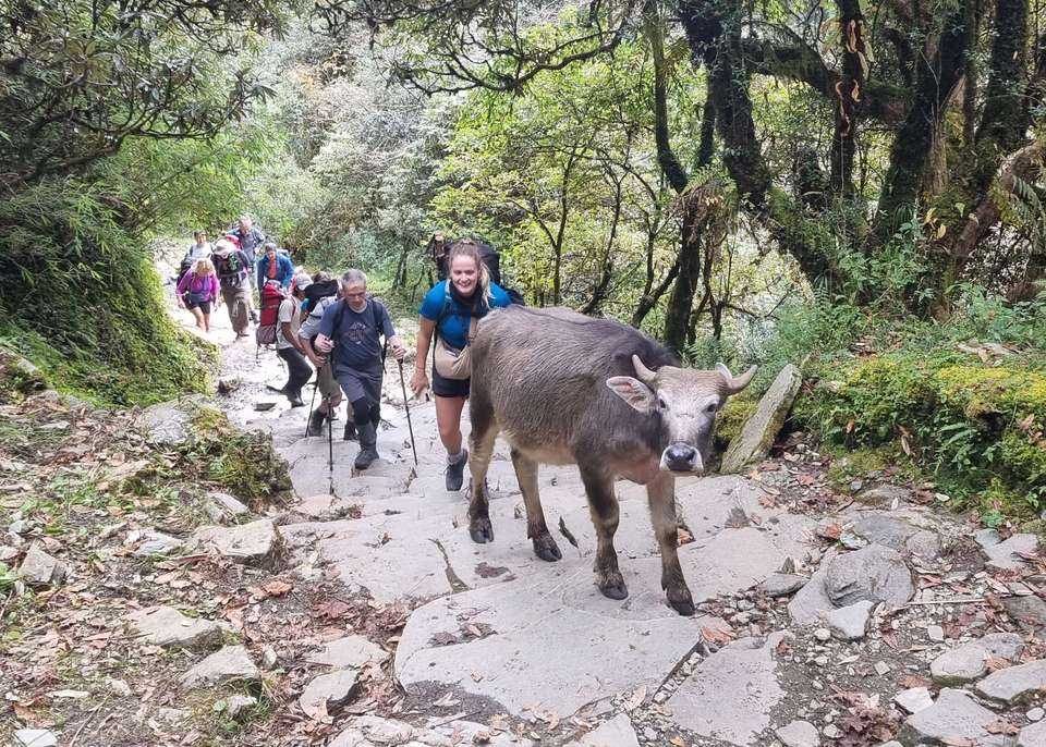 Annapurna to Chitwan: Walks & Wildlife - Exodus Adventure Travels - Nepal - Image 12