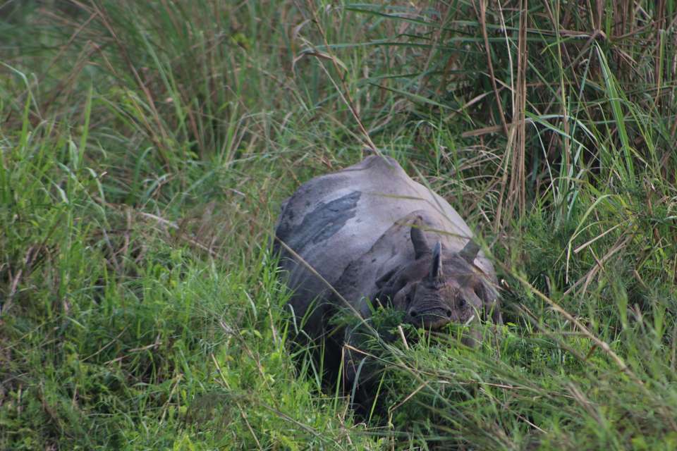 Annapurna to Chitwan: Walks & Wildlife - Exodus Adventure Travels - Nepal - Image 6