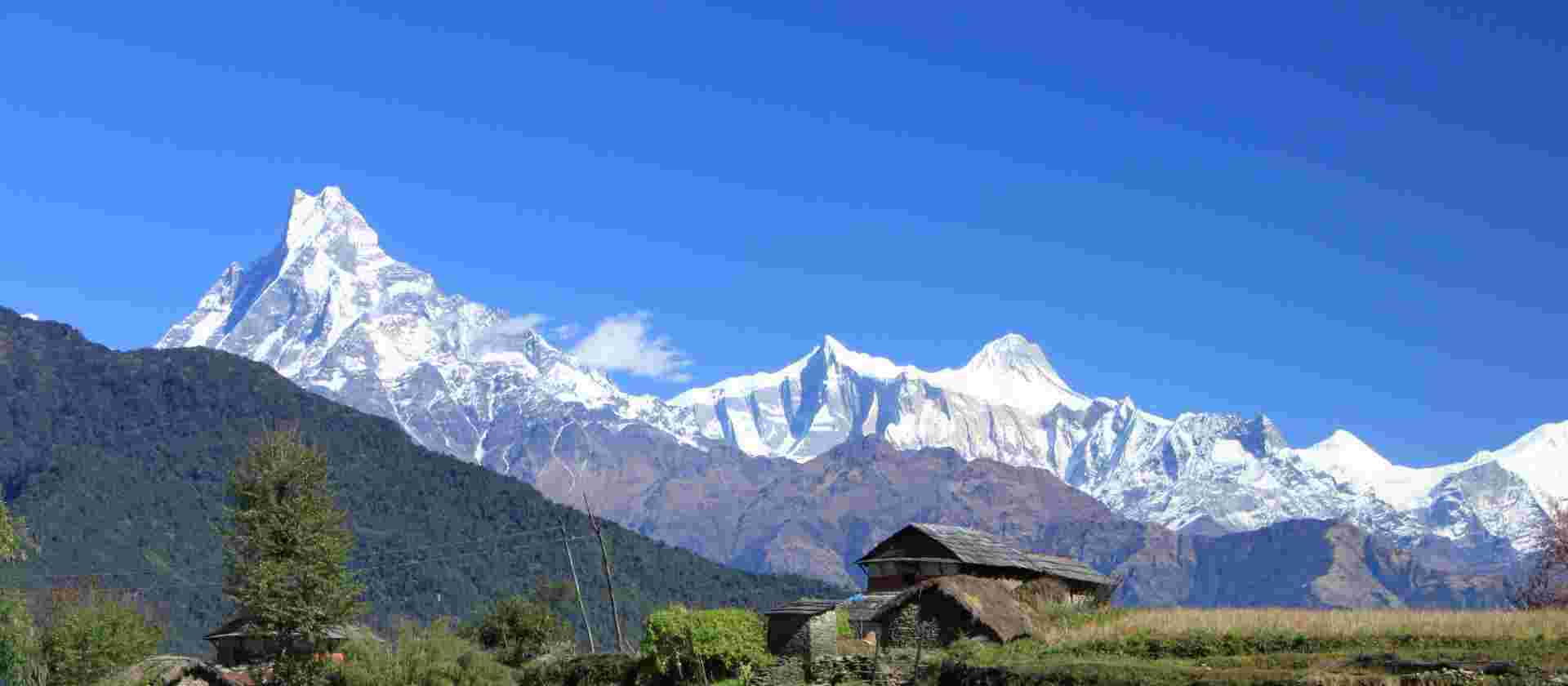 Annapurna Trek in Comfort