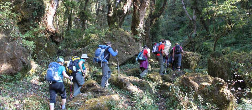 Annapurna Trek in Comfort - World Expeditions - Nepal - Image 6