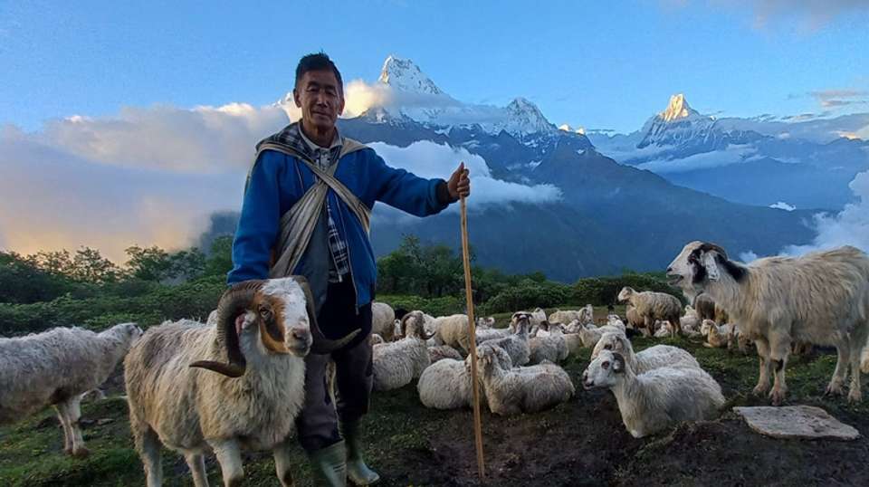 Annapurna View Trek - Mount Adventure Holidays - Nepal - Image 1