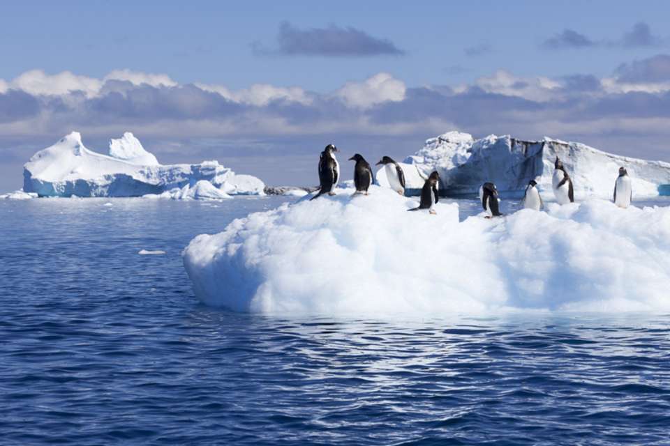 Antarctic Circle - M/V Ocean Victory - Explore - Argentina - Image 4