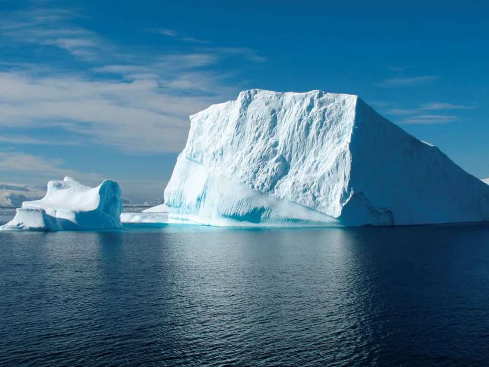 Antarctic Circle, South Georgia and the Falklands - M/V Greg Mortimer - undefined - Image 3