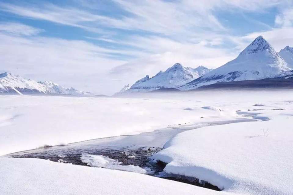 Antarctic Experience in Ushuaia - Tangol Tours - Argentina - Image 10