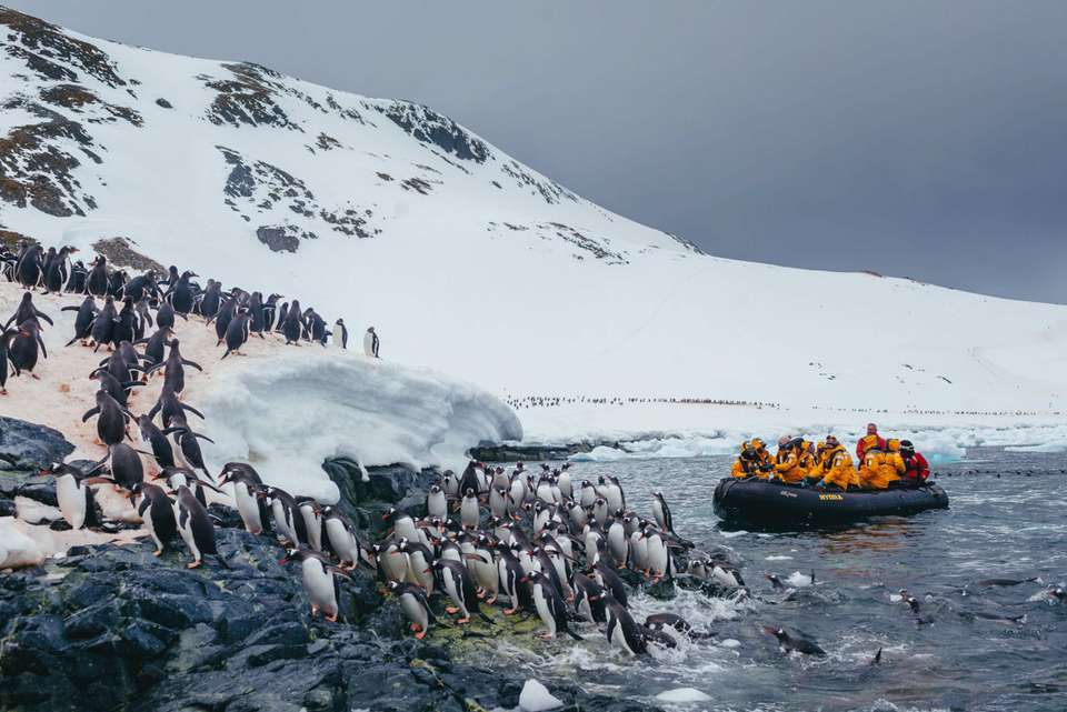 Antarctic Explorer: Discovering the 7th Continent - undefined - Image 6