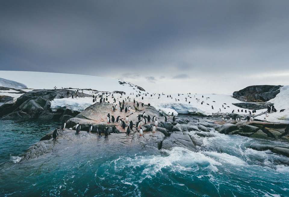 Antarctic Explorer: Discovering the 7th Continent - Quark Expeditions - Argentina - Image 2