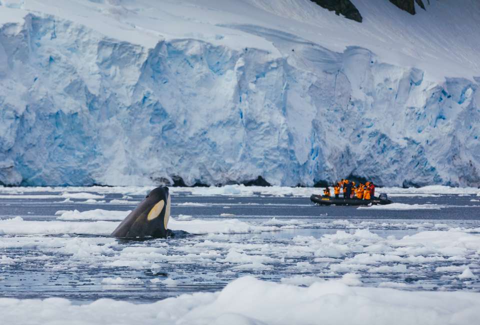 Antarctic Express: Crossing the Circle - Exodus Adventure Travels - Chile - Image 8