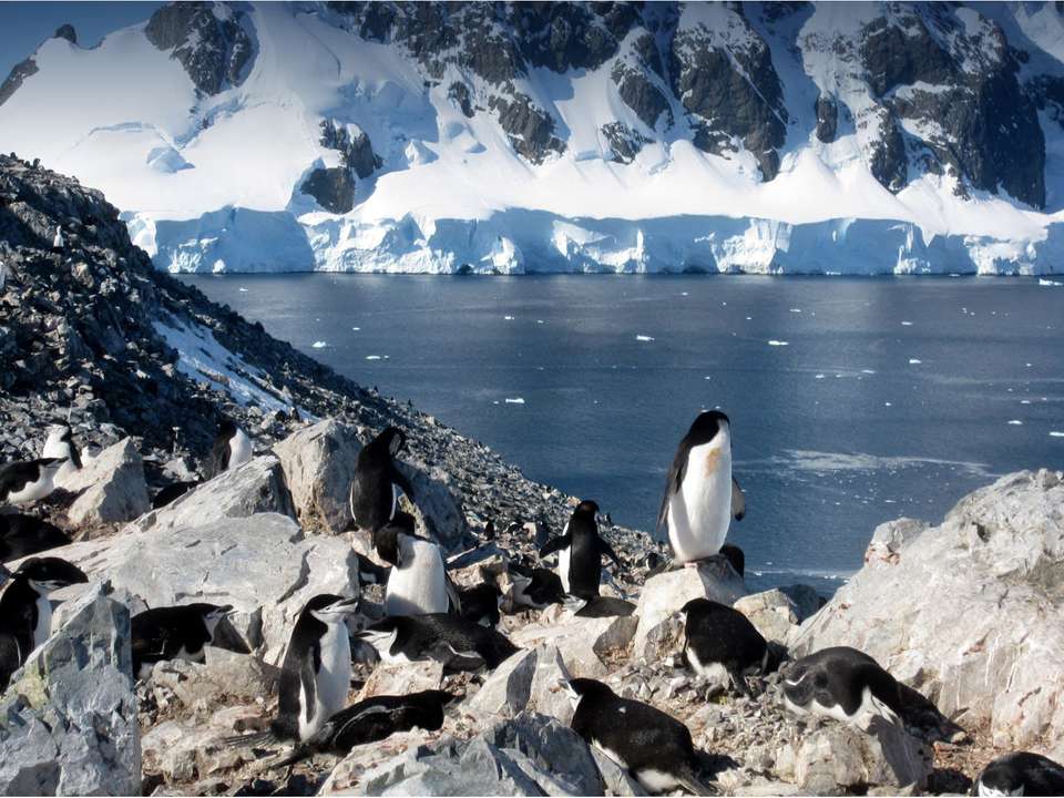 Antarctic Express: Fly South, Sail North - Quark Expeditions - Chile - Image 4