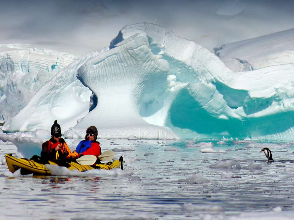 Antarctic Express: Fly South, Sail North - Quark Expeditions - Chile - Image 5