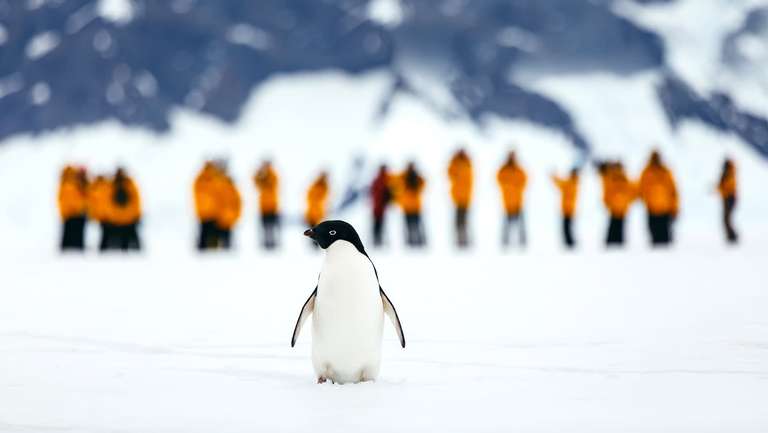 Antarctic Express: Fly the Drake trip - alternative tour available