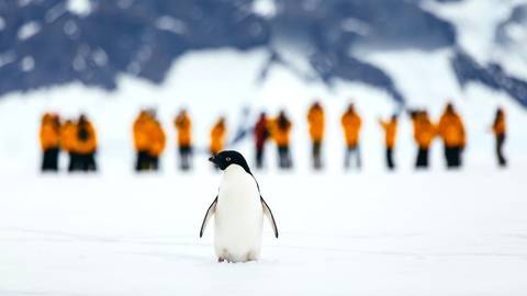 Antarctic Express: Fly The Drake - March 2026