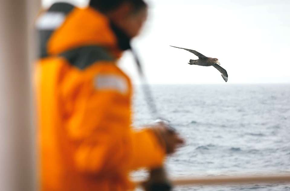 Antarctic Express: Fly the Drake - Quark Expeditions - Chile - Image 3