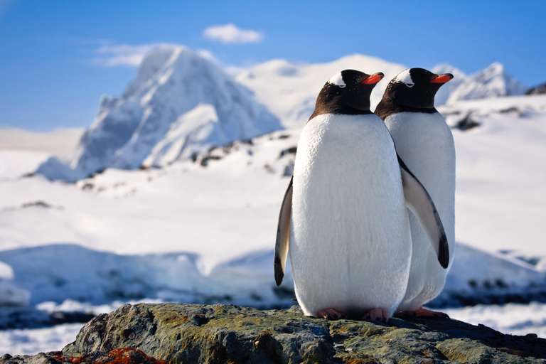 Antarctic Express: Fly the Drake trip - alternative tour available