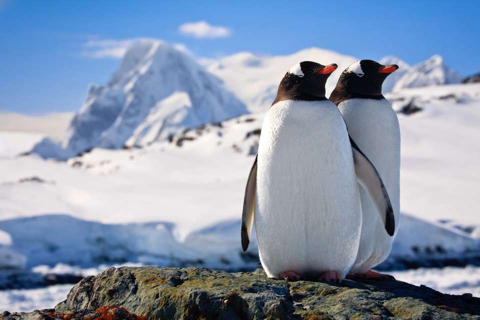 Antarctic Express: Fly the Drake - Exodus Adventure Travels - Chile - Image 1