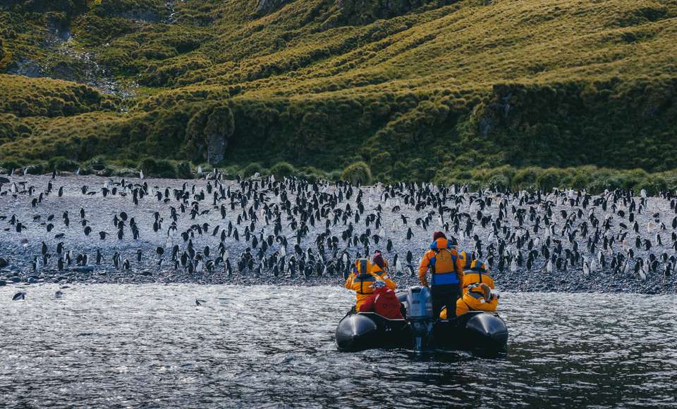 Antarctic Express: Fly the Drake - Exodus Adventure Travels - Chile - Image 17