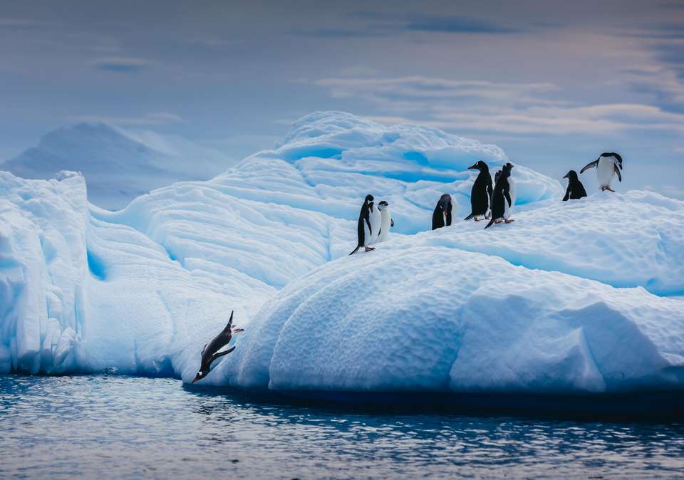 Antarctic Express: Fly the Drake - Exodus Adventure Travels - Chile - Image 15
