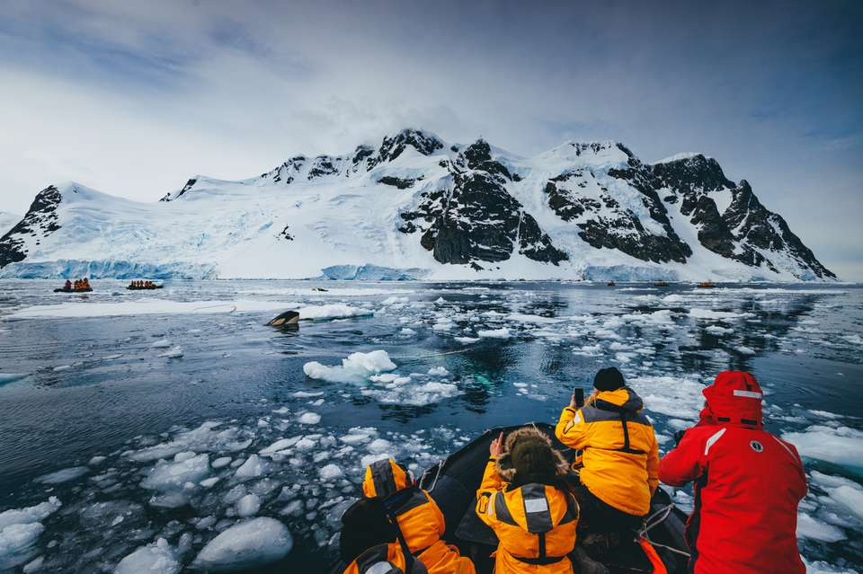 Antarctic Express: Fly the Drake - Exodus Adventure Travels - Chile - Image 13
