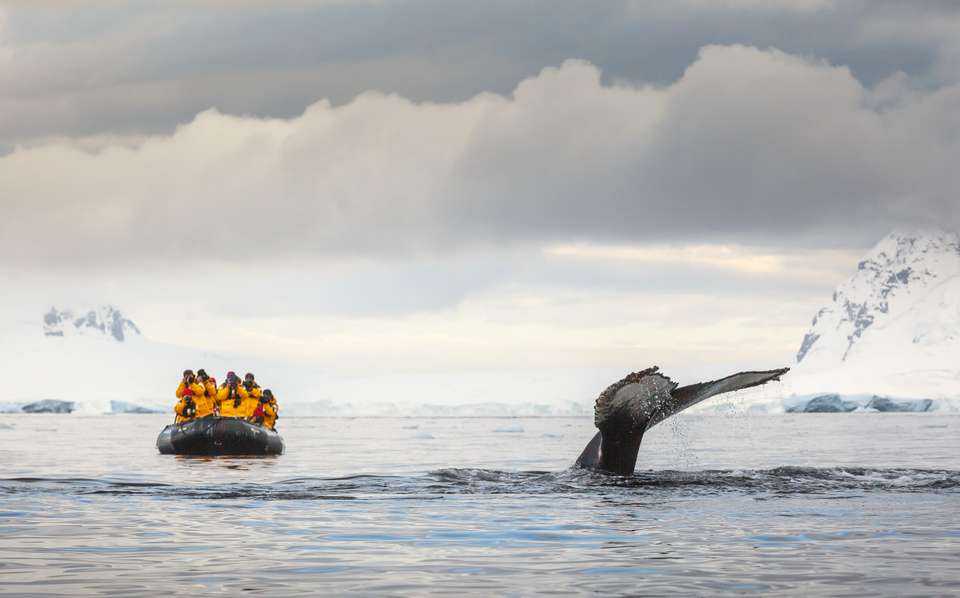 Antarctic Express: Fly the Drake - Exodus Adventure Travels - Chile - Image 3