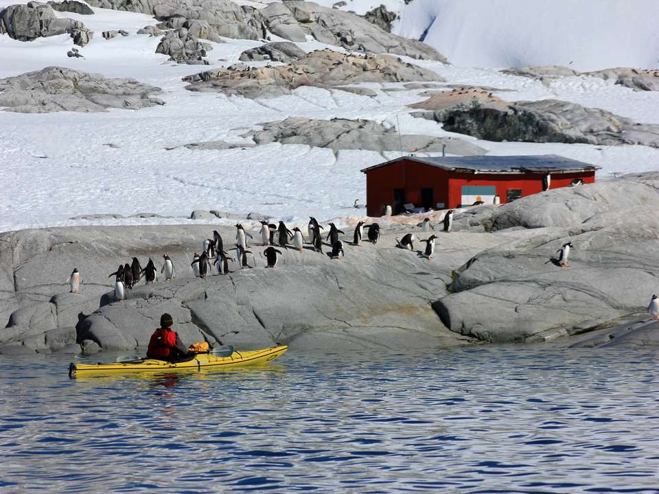 Antarctic Express: Sail South, Fly North - Quark Expeditions - Argentina - Image 4