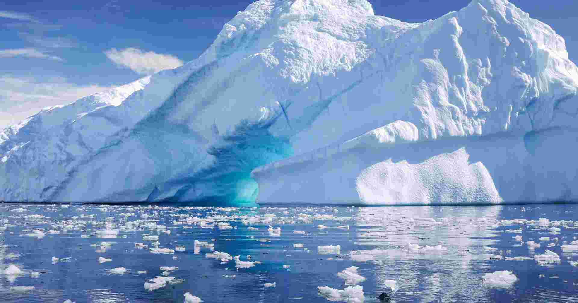 Antarctic Peninsula and Weddell Sea - M/V Ocean Albatros
