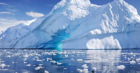 Antarctic Peninsula And Weddell Sea - M/v Ocean Albatros - November 2025