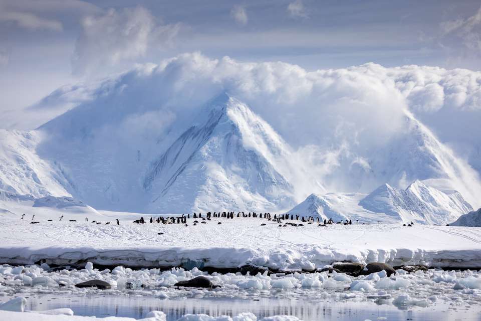 Antarctic Peninsula: Crossing the Circle - Exodus Adventure Travels - Argentina - Image 8