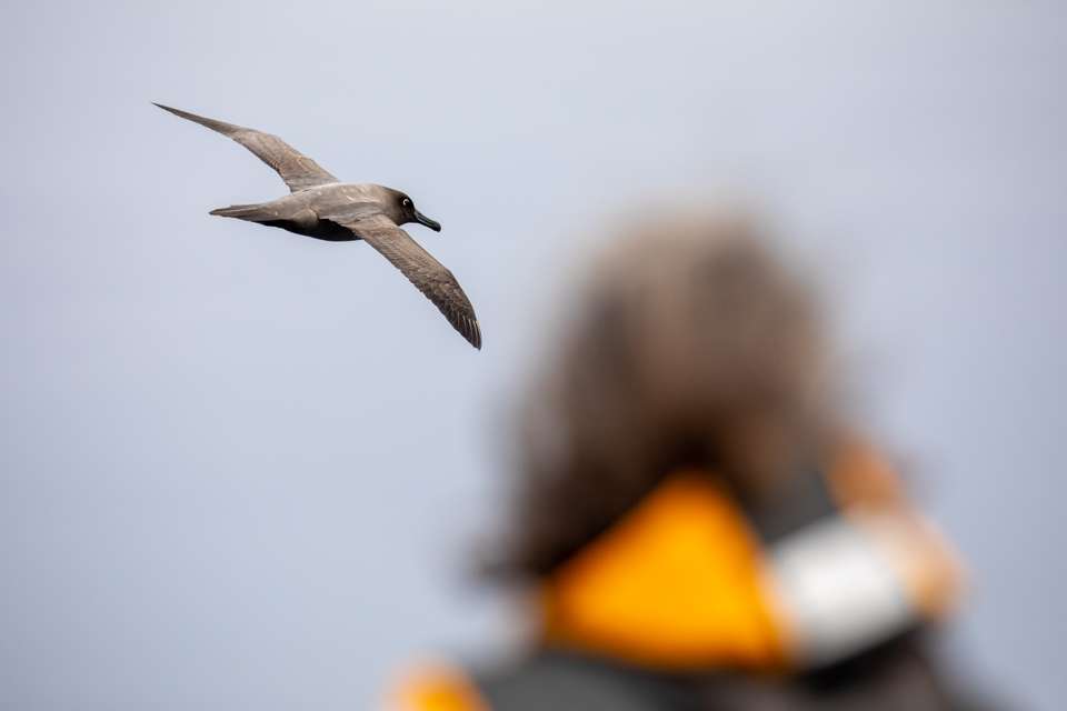 Antarctic Peninsula: Crossing the Circle - Exodus Adventure Travels - Argentina - Image 13