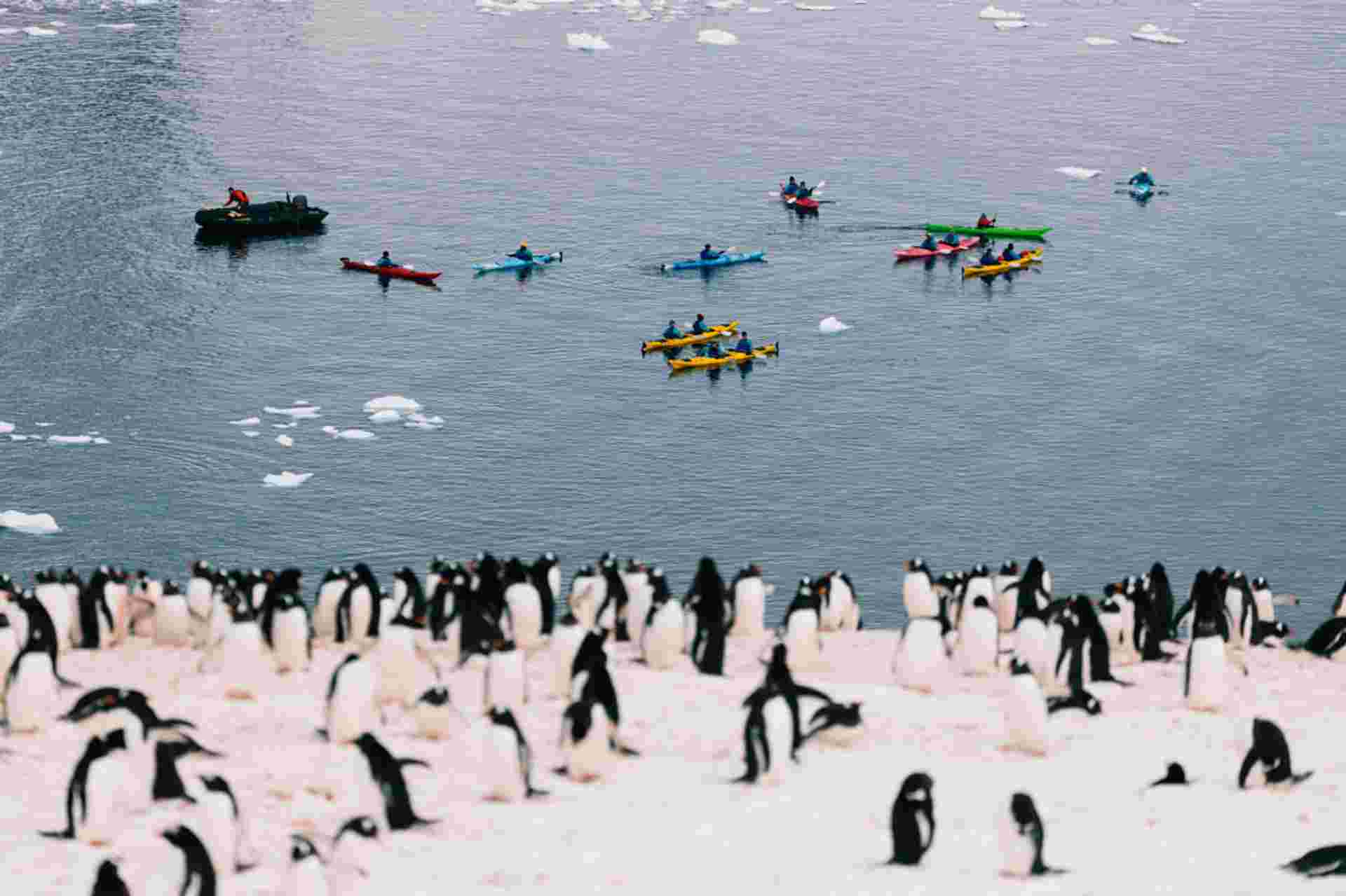 Antarctic Peninsula: The Classic Voyage (Ocean Victory)