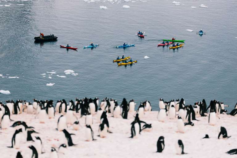 Antarctic Peninsula: The Classic Voyage (Ocean Victory) - 12 days