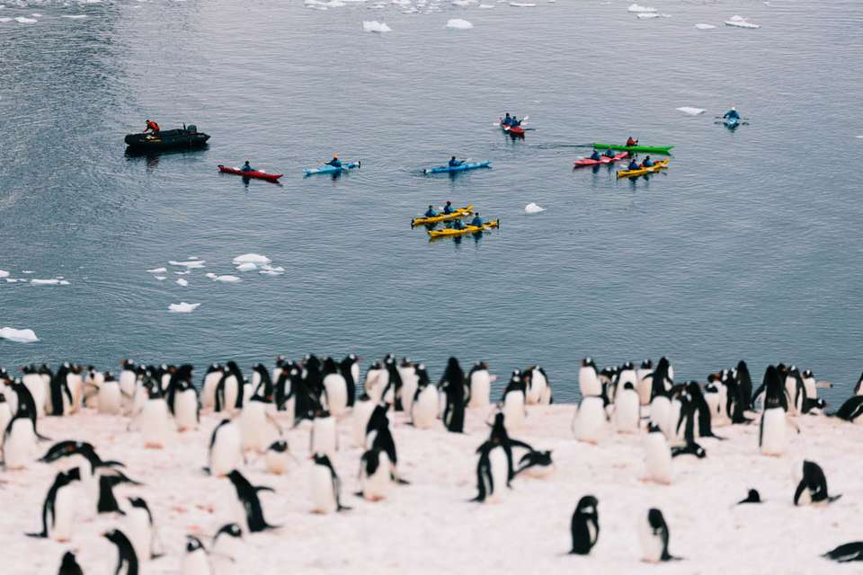 Antarctic Peninsula: The Classic Voyage (Ocean Victory) - Intrepid Travel - Argentina - Image 1