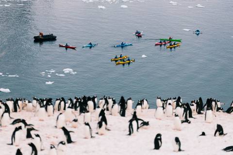 Antarctic Peninsula: The Classic Voyage (ocean Victory) - November 2026