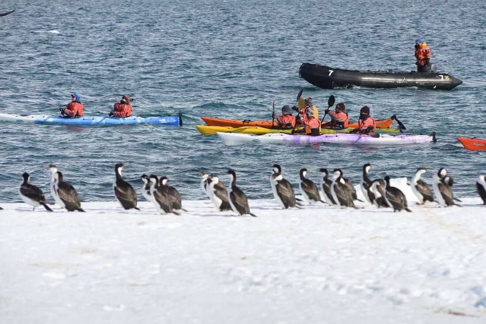 Antarctic Peninsula: The Classic Voyage (Ocean Victory) - Intrepid Travel - Argentina - Image 2