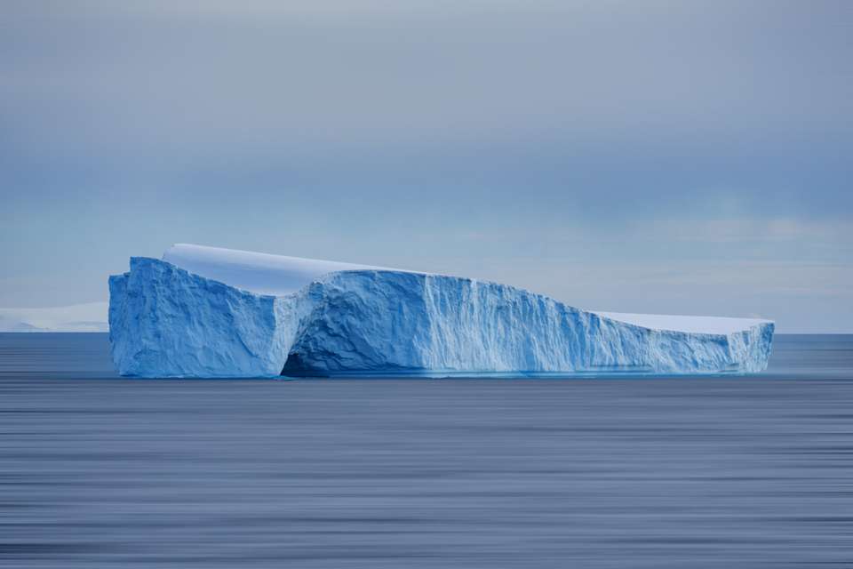 Antarctic Peninsula: The Classic Voyage (Ocean Victory) - Intrepid Travel - Argentina - Image 13