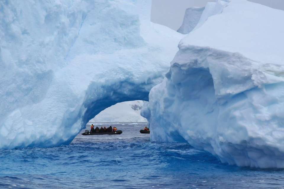 Antarctica Springs to Life (Ocean Victory) - undefined - Image 6
