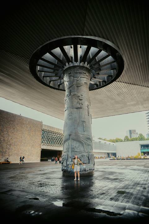Anthropology Museum With The Best Guide - November 2026