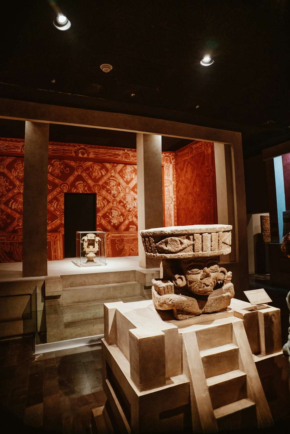 Anthropology Museum with the Best Guide - Bamba - Mexico - Image 2